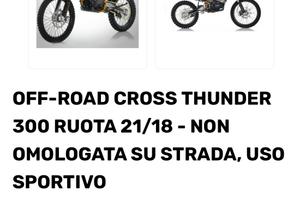 Thunder 300cc