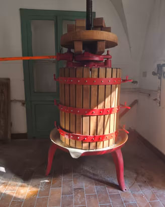 Torchio per vino da 55 