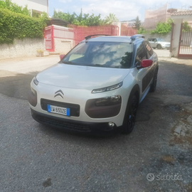 Citroen C4 cactus Shine