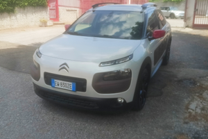 Citroen C4 cactus Shine