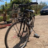 bicicletta con motore 