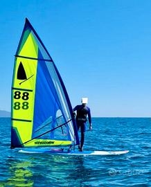 Windsurfer Originale