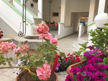 CASETTA A TORRE MOZZA, 80metri Dalla spiaggia