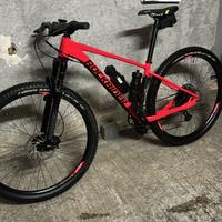 Mtb 29