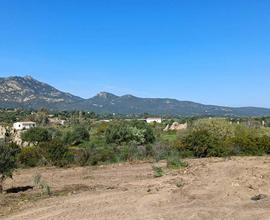 Terreno agricolo pianeggiante