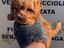 Immagine 1