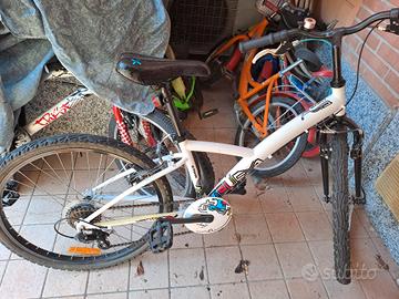 bici ruota 24 da bambina