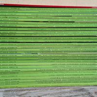 riviste Gardenia  editore Mondadori 