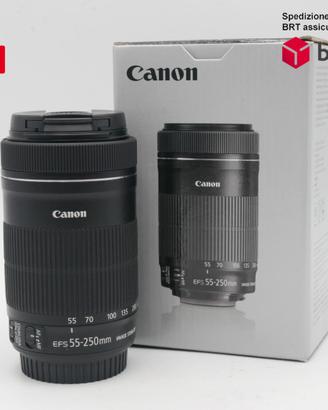Canon EF-S 55-250 F4-5.6 IS STM (Canon)