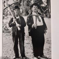 Cartolina postale Stalio & Olio