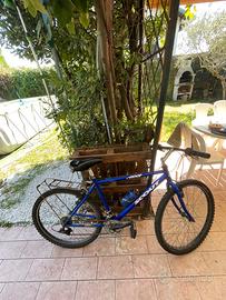 MTB SCOUT PROOF