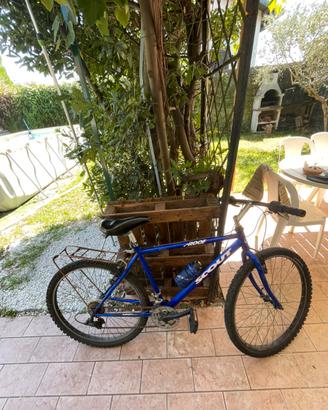 MTB SCOUT PROOF