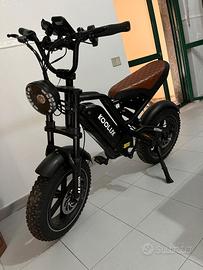 bici elettrica 