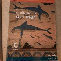 libri liceo Scienze Umane - Economico  Sociale