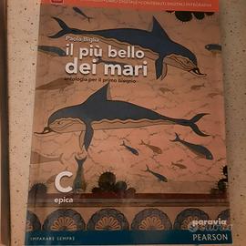 libri liceo Scienze Umane - Economico  Sociale