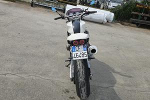 Honda Hornet