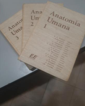 libri