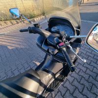 Burgman