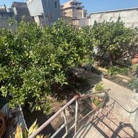 Casa Indipendente con giardino