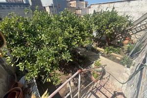 Casa Indipendente con giardino