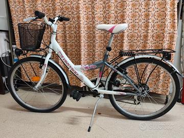 Bicicletta