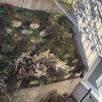 Pietre a cucchiaio conca löffelsteine