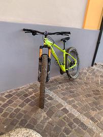 Bicicletta mtb bici