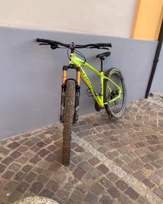 Bicicletta mtb bici