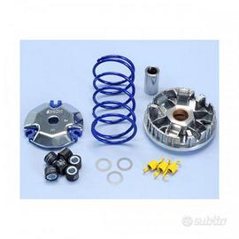 Honda vision 50 4t variatore polini