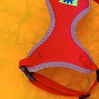 Pettorina rossa per cani e gatti piccola taglia 