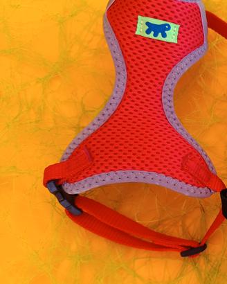 Pettorina rossa per cani e gatti piccola taglia 