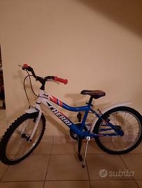Bicicletta