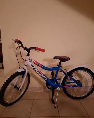 Bicicletta
