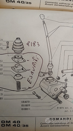 Cerco x fiat om 40 anno 78