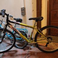 Bici ragazzo bike evolution 26