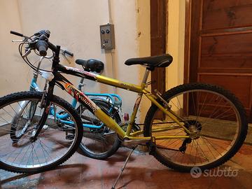 Bici ragazzo bike evolution 26