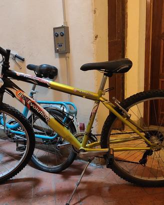 Bici ragazzo bike evolution 26