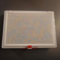 Gioco Chiodini per bambini