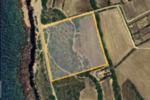 Terreno agricolo
