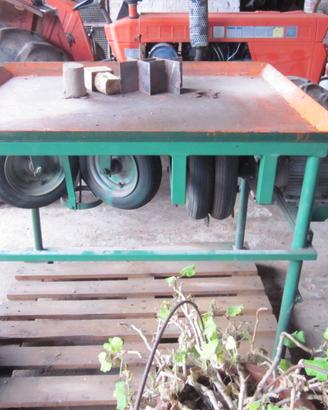 taglierina patate da seme