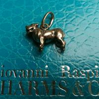 Arg. Giovanni Raspini - Charm MASTINO NAPOLETANO