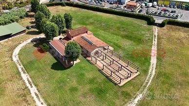 Stabile/Palazzo Roma [Cod. rif 3277289VCG]