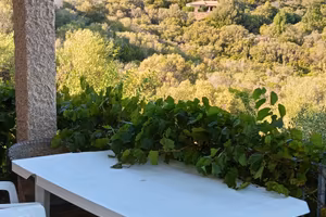 appartamento sul mare san Teodoro 