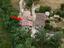 Immagine 22