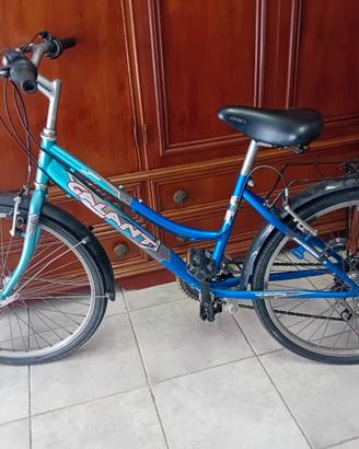 Bicicletta