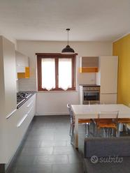 Trilocale mai abitato