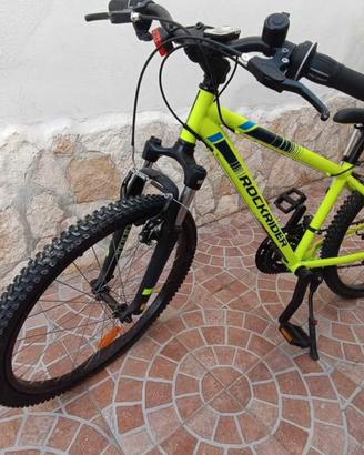 Bicicletta mountain-bike 24