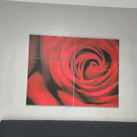 Quadro moderno Rosa rossa