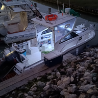 Barca Bayliner Trophy 20.02