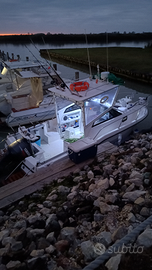 Barca Bayliner Trophy 20.02